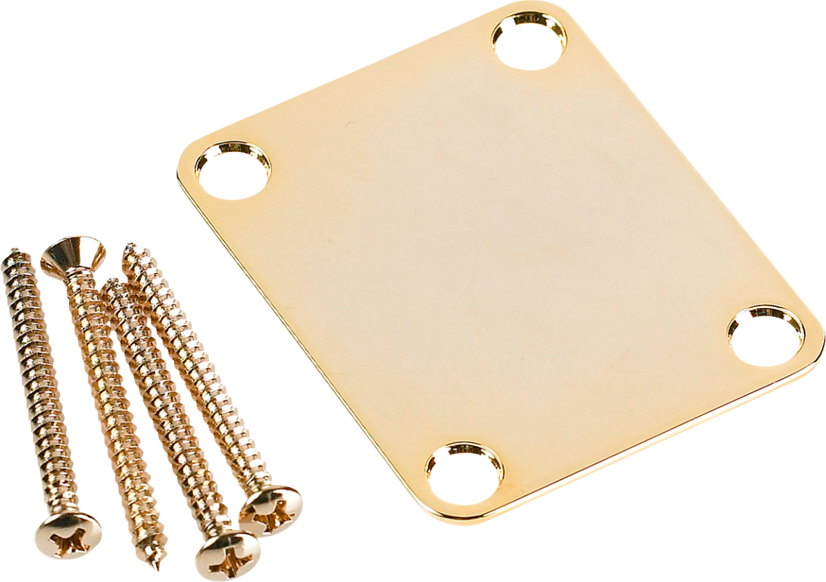 Fender 0991447200 4-bolt Vintage-style Neck Plate - Gold