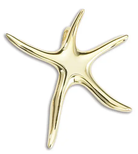 14K Yellow Gold Dancing Starfish Slider Pendant on an 18 14K Yellow Gold Box Chain