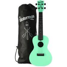 Kala KA-R-WMS-GN-S Seafoam Green Recycled Waterman Soprano Ukulele w/bag