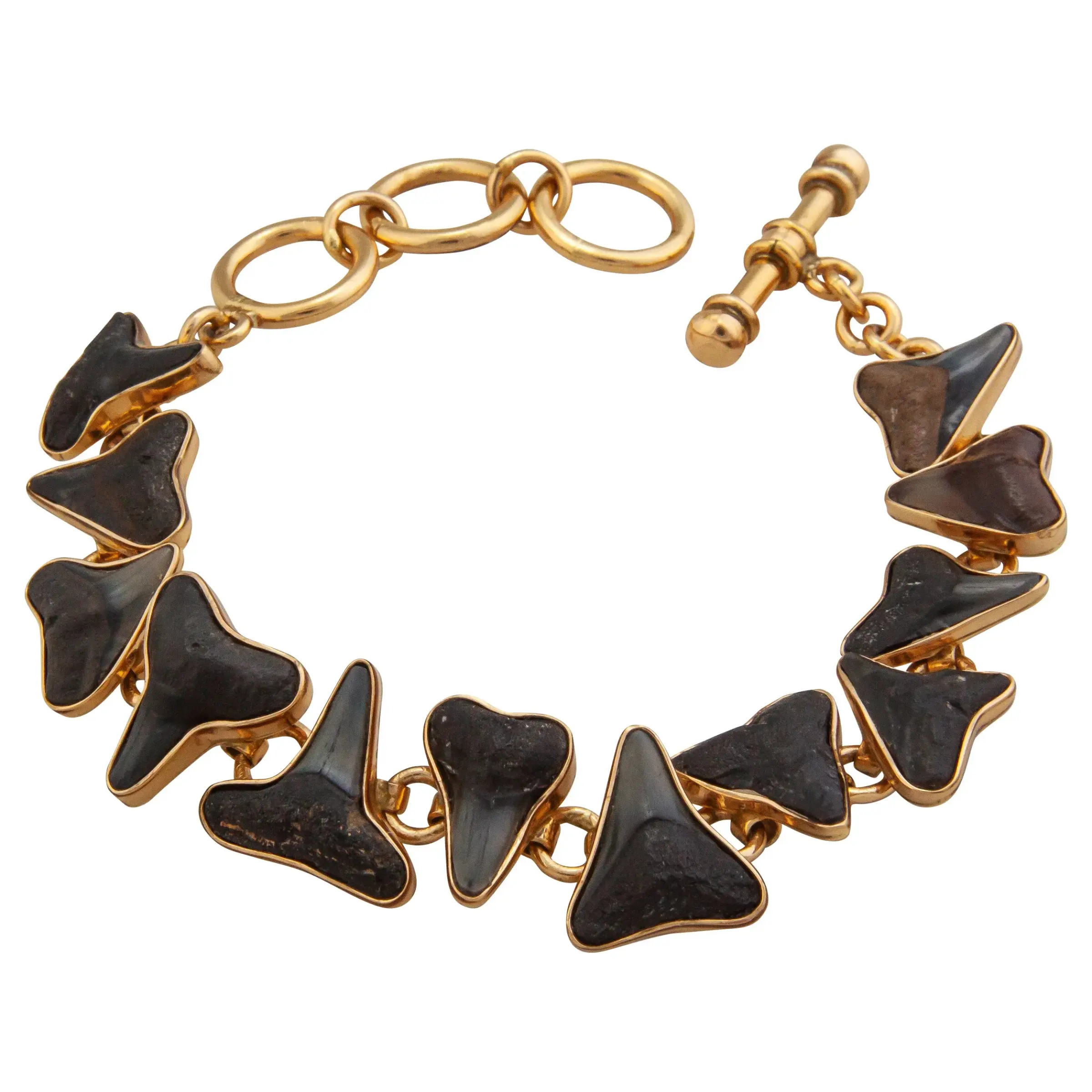 Alchemia Small Fossil Shark Tooth Link 7 - 8 adjustable Bracelet made by Charles Albert