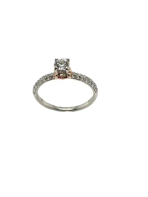 Platinum & 14ky 0.35ct F, VS1 Lab Diamond & 0.26ct tw GH, SI2 Diamonds double row half shank engagement ring by Ostbye