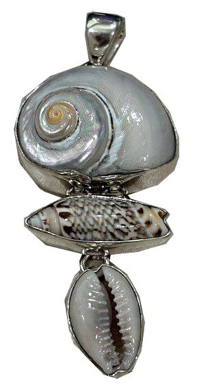 Sterling Silver 3 shell (Cinnerus, Olive, Cowry) bezel set pendant by Charles Albert.