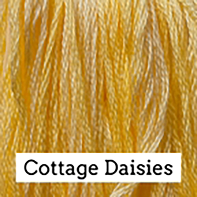 Classic Colorworks Hand-Dyed Cotton Floss – Cottage Daisies – 6 Strand Embroidery Thread – 5 Yards