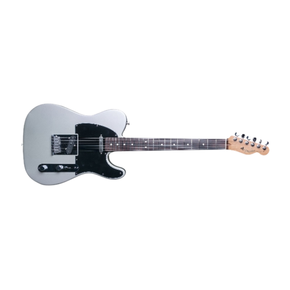 Fender 0108400724-U (Used) American Standard Telecaster Electric Guitar - Inca Silver w/ Gig Bag