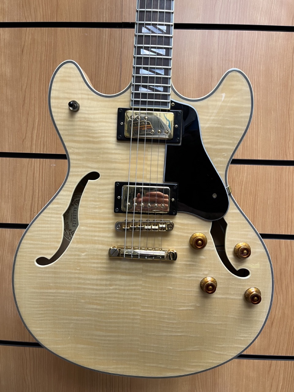 Washburn HB-35 Semi-Hollow w/ Lindy Fralin PAF Pickups, Upgraded Electronics, Hardshell Case