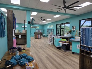 Our newly opened up space