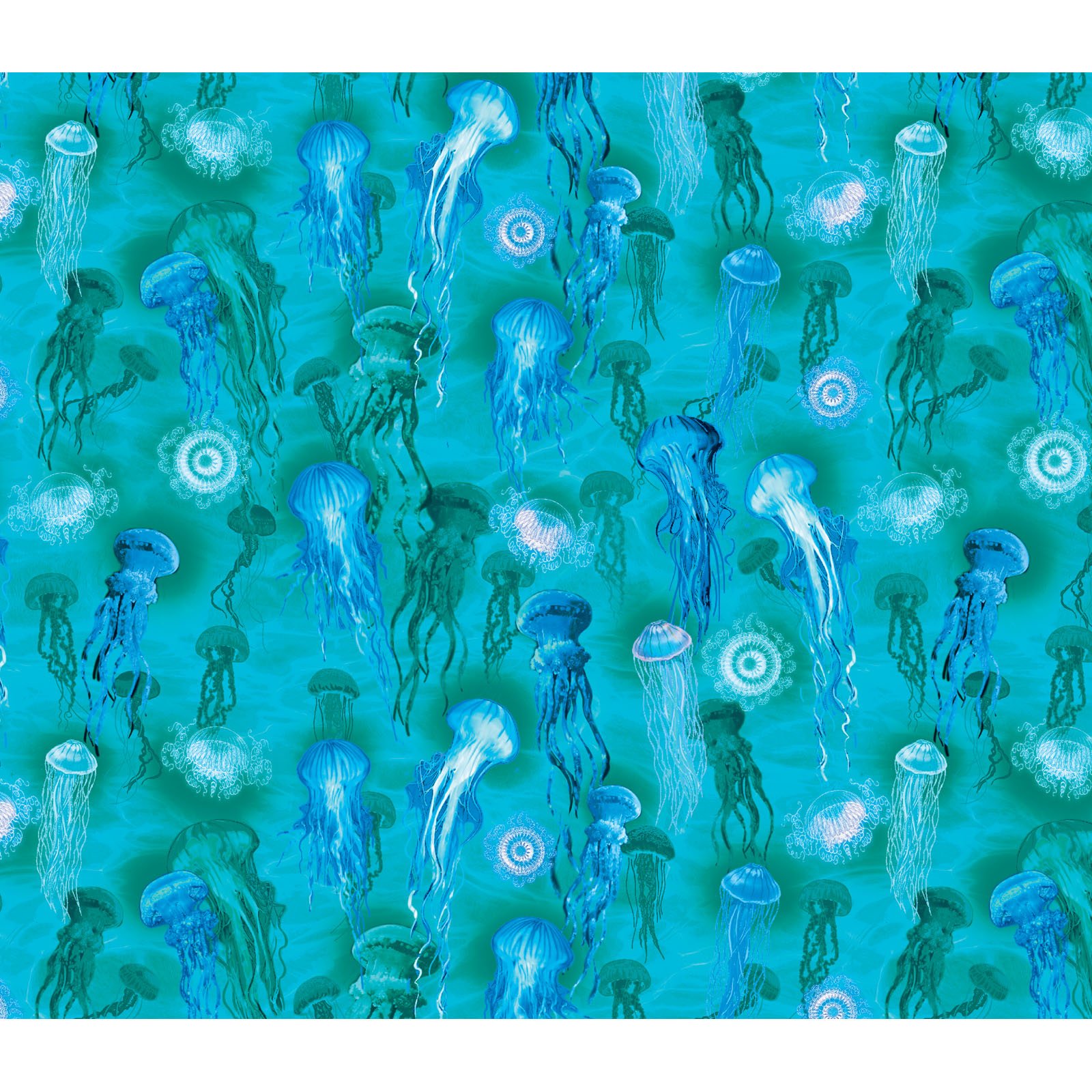jellyfish　W. Tillmans W. ティルマンス Microsoft Paint' jellyfish discovered in the deep sea (VIDEO