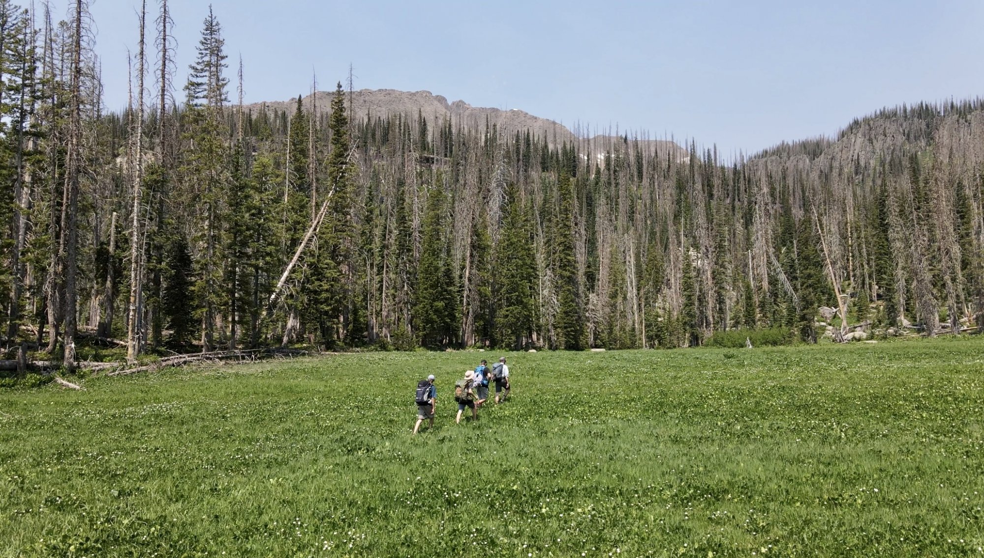 Ski and Bow Rack Pagosa Springs, CO Outdoor Sports Equipment