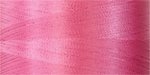 Bottom Line  Dark Pink 604