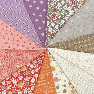 Lori Holt Autumn fabric collection for Riley Blake Designs