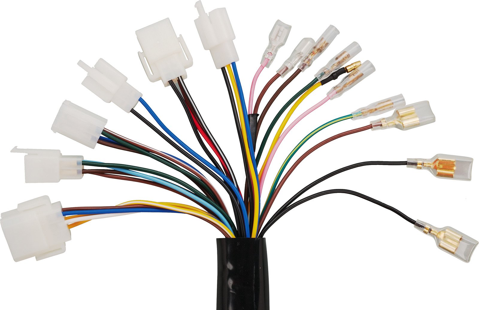 ホワイトフレア　1box Amazon.com: ZOYAN ELECTRONIC SWITCH Wire Harness Assy 60H