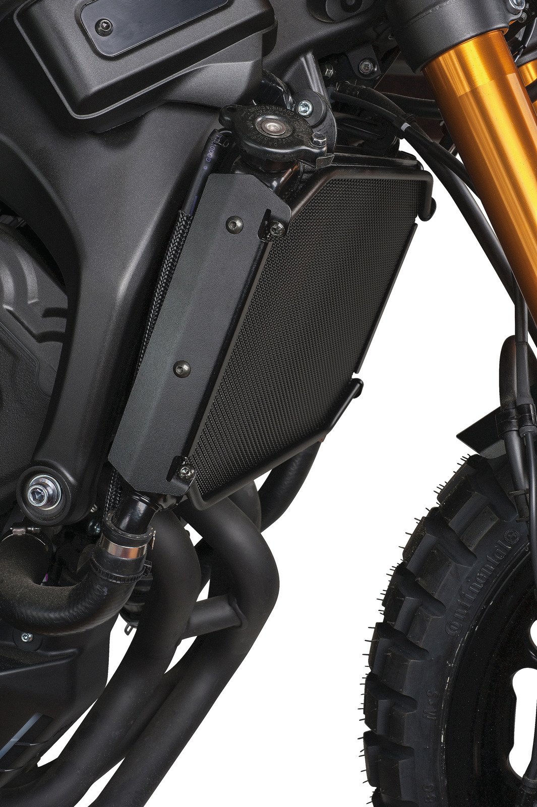 XSR900 MT09