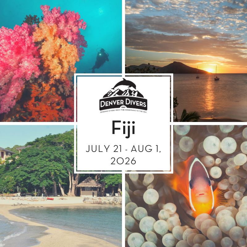 Fiji: VoliVoli Beach Resort