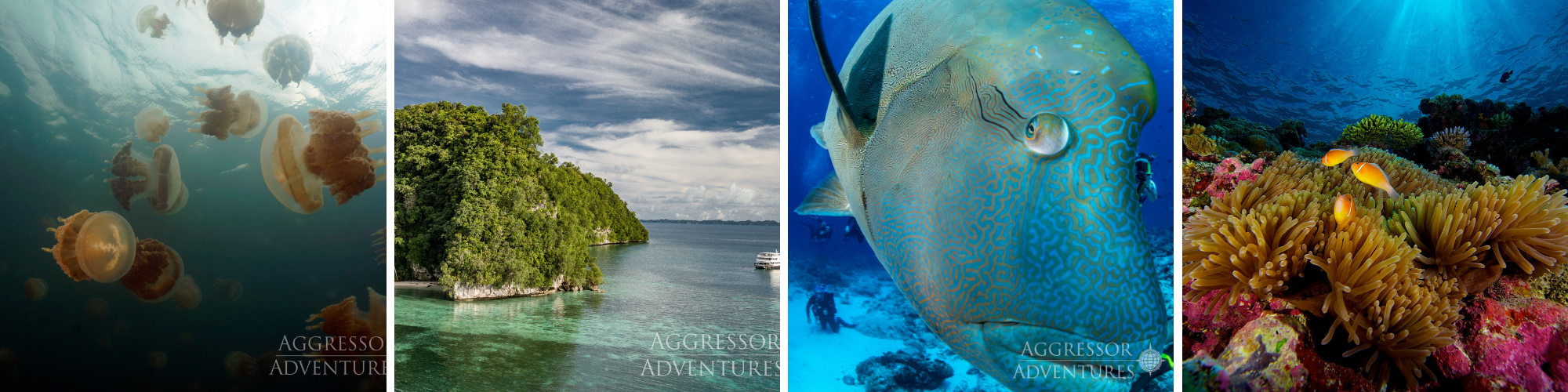 Palau Liveaboard