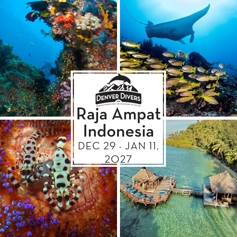 Raja Ampat Dive Lodge Adventure, Indonesia