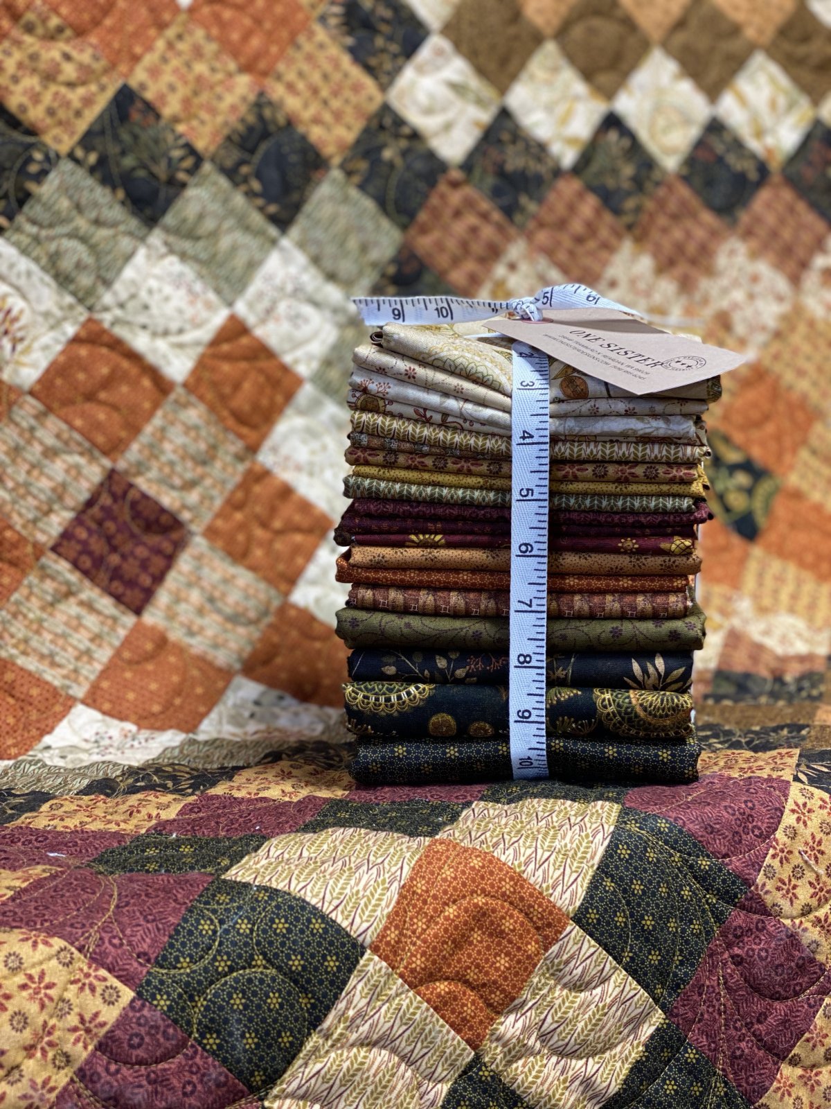 Homestead quilt kit