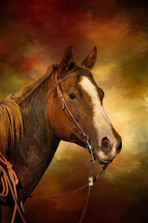 Focus on Fabric Paint Horse In Bridle Panel AHS-025 14.5in x 22.75in 