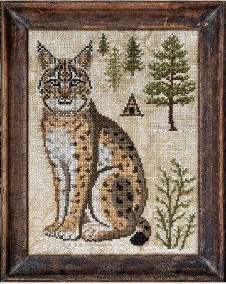 PT CS Cottage Garden A Year In The Woods II The Bobcat #8
