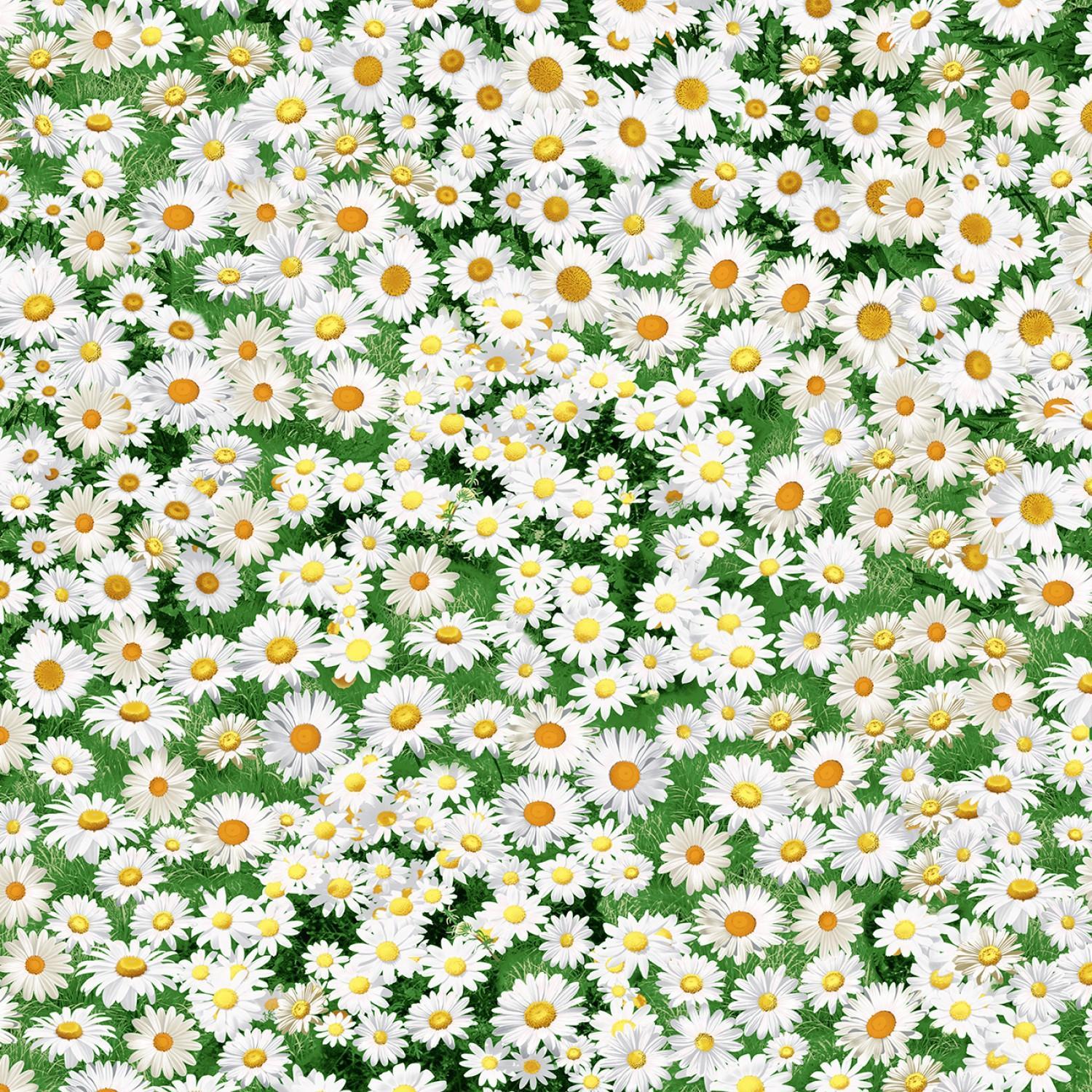 Freedom Farm - Floral Daisy - 840035960630
