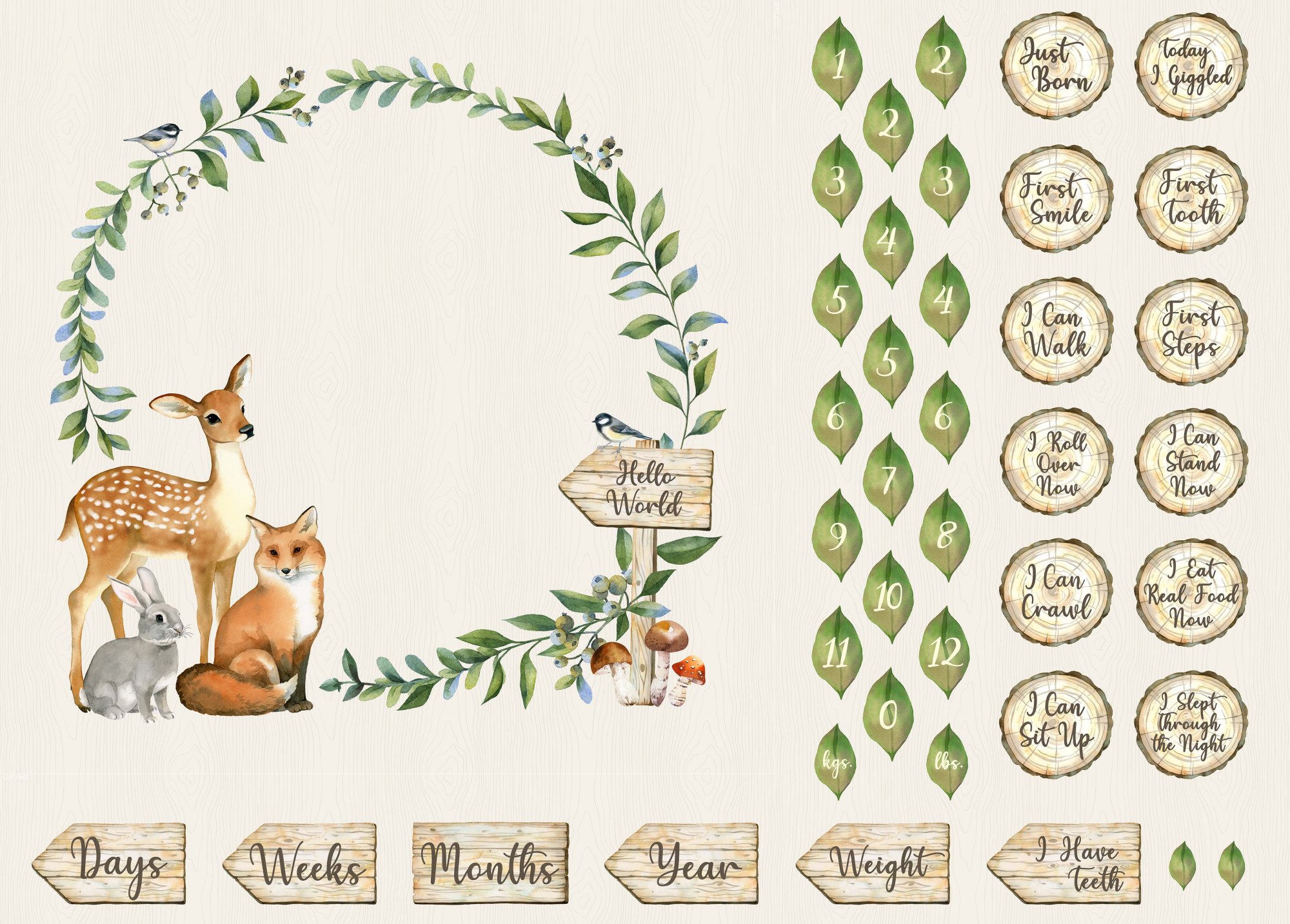 Watch Me Grow Milestone 60 X 43 Panel 778148266670 watch-me-grow-milestone-60-x-43-panel-778148266670