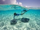 Stingray City