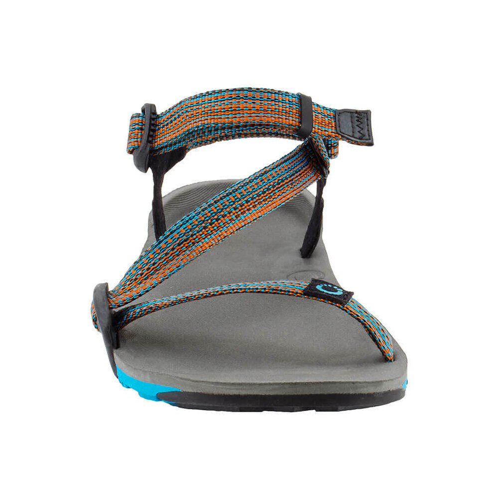 XEROSです♪ W's Aqua X Sport（Women's / Steel Gray×Sapphire）XERO SHOSE