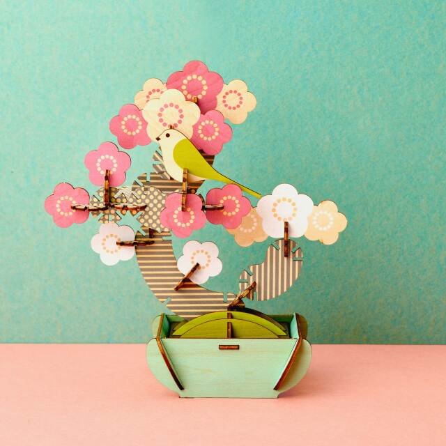 pot size for bonsai 5