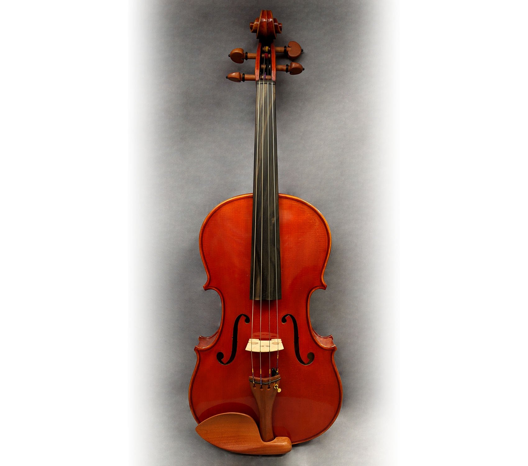 Orchestral String Instruments