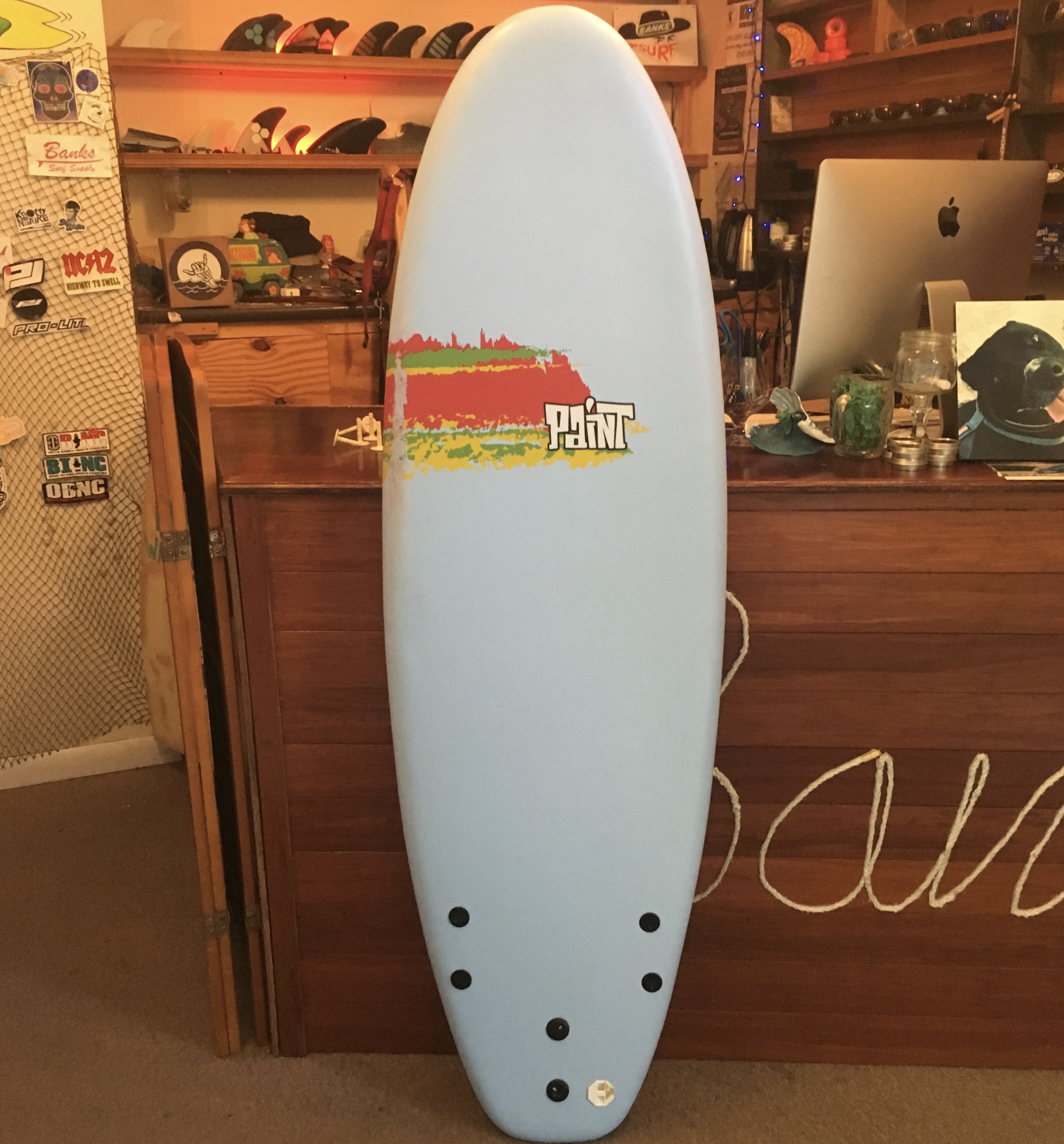 Used Paint 5'6 Soft Top Surfboard