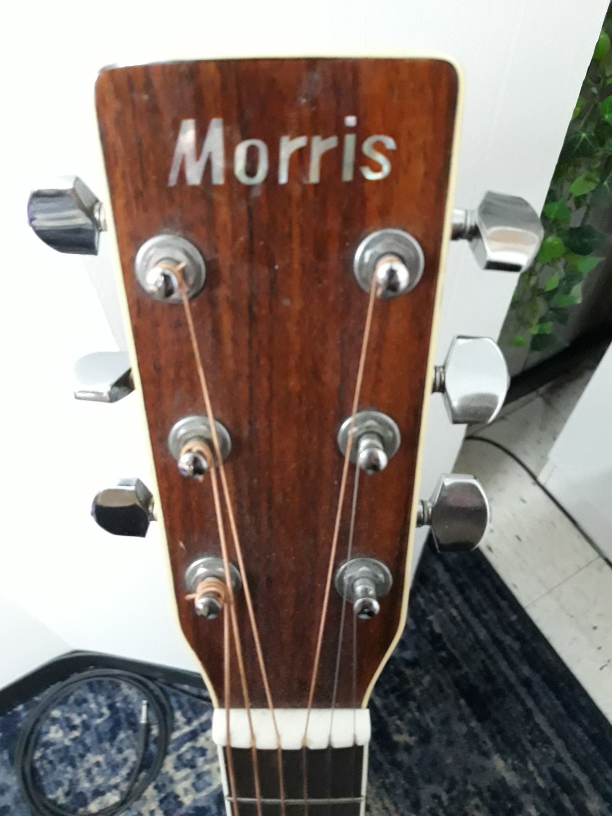 Morris MD-511 Acoustic Dreadhought with Gig Bag - Used