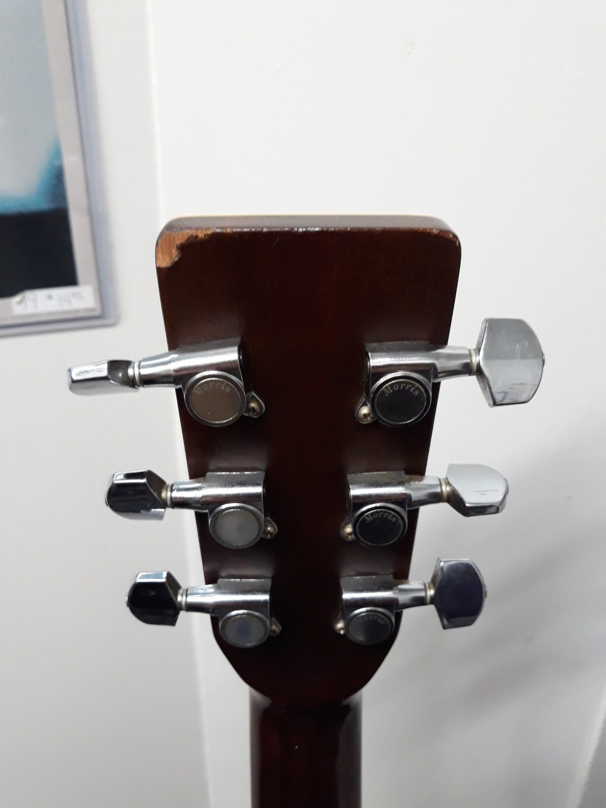 Morris MD-511 Acoustic Dreadhought with Gig Bag - Used