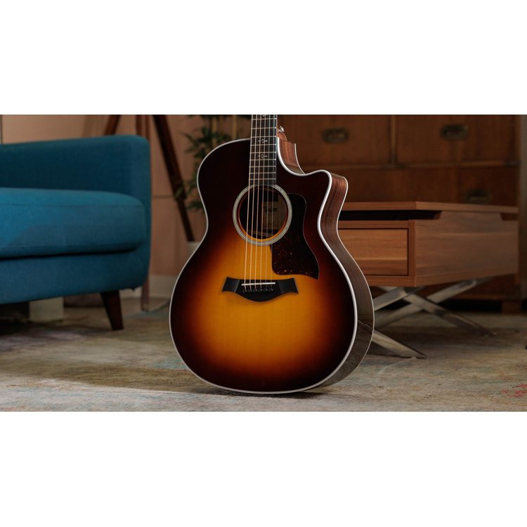 洋楽 Troy Taylor Relentless 2010 J.Duv R&B Taylor 414ce-R Acoustic Electric - Tobacco Sunburst