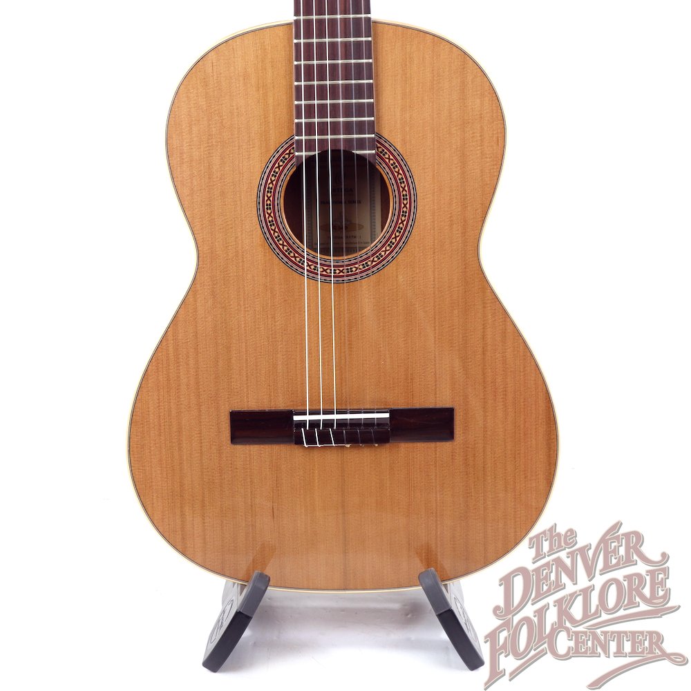 Ortega R200