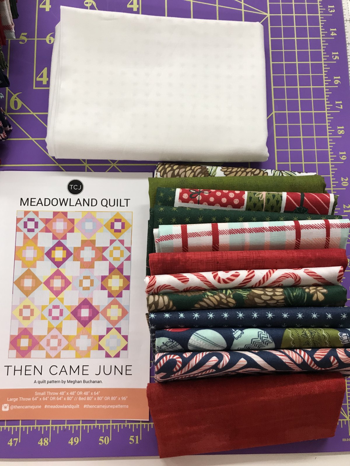 To Be Jolly Christmas Meadowland Quilt Kit