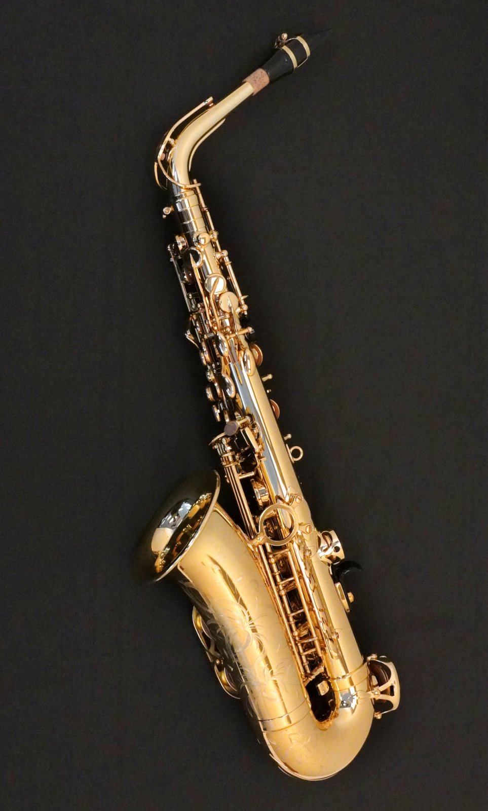Selmer Paris Alto Saxophone 52AXOS Professional Model N860419