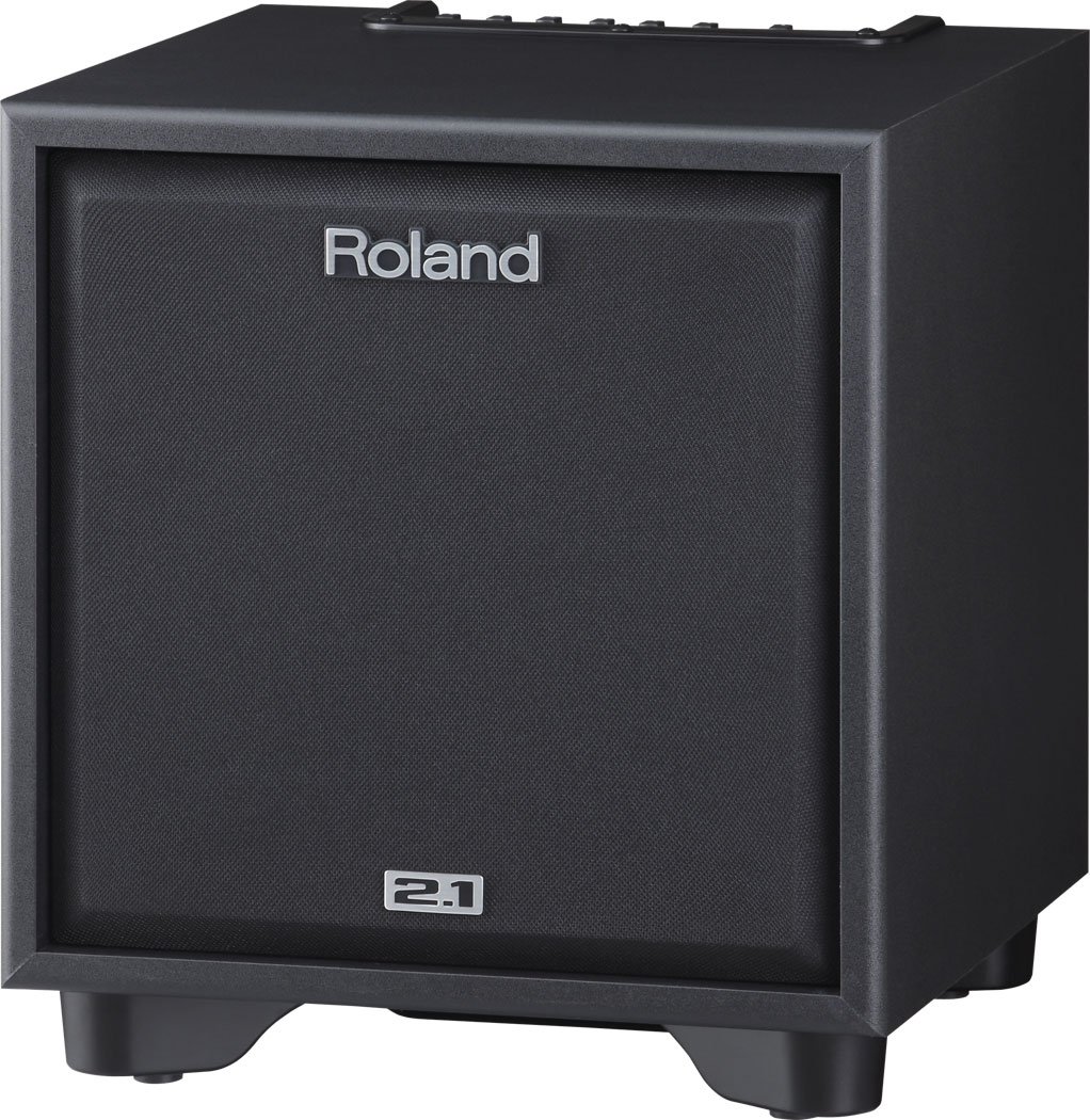 Roland 2.1チャンネル モニター システム CUBE CM-110 cm_110_angle_gal.jpg