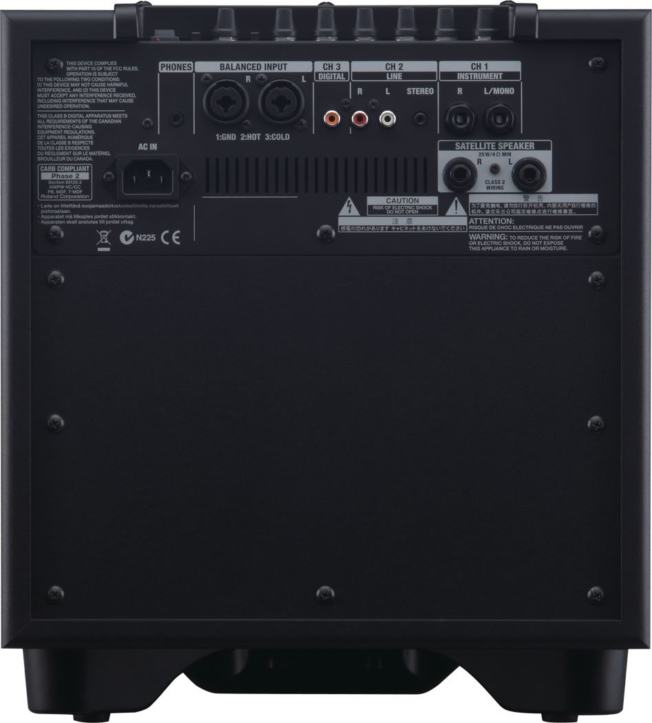 Roland CM-110 Cube 2.1 Monitor System