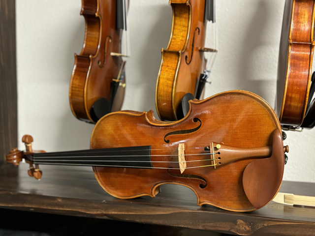 Zhen xi Zhao 4/4 Violin (Strad Model 2023)