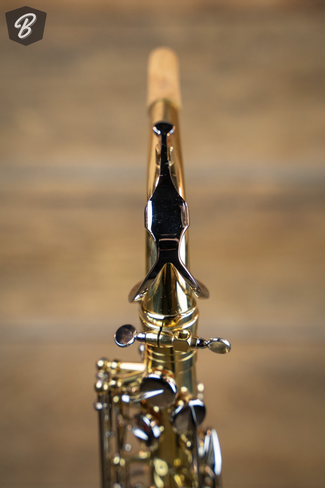 Selmer Aristocrat AS600 Alto Saxophone w/ Protec MAX Case - 213546897