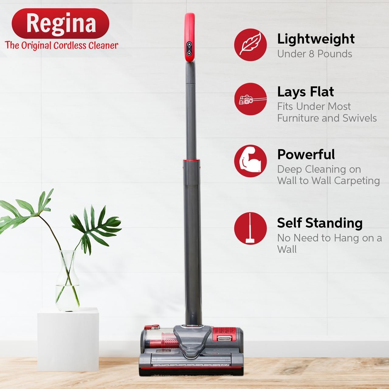 Regina Cordless Vacuum Cleaner 789859951090