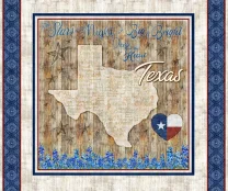 Texas Panel