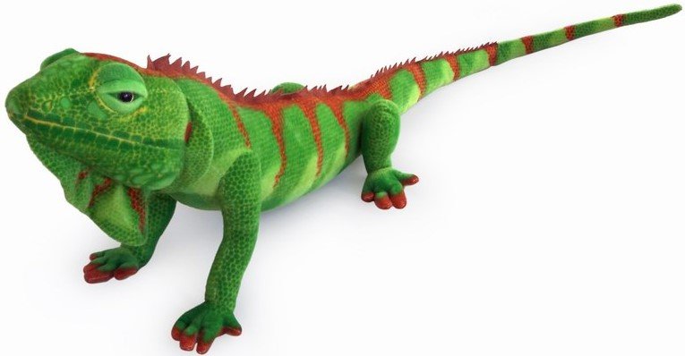 stuffed iguanas
