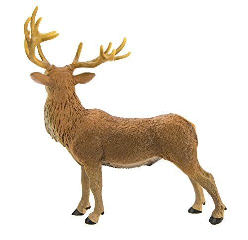 【中古】 Deer Dancer JessitaReyes＆GrupoYaqui 41nHYaf4gaL._SY200_QL15_.jpg