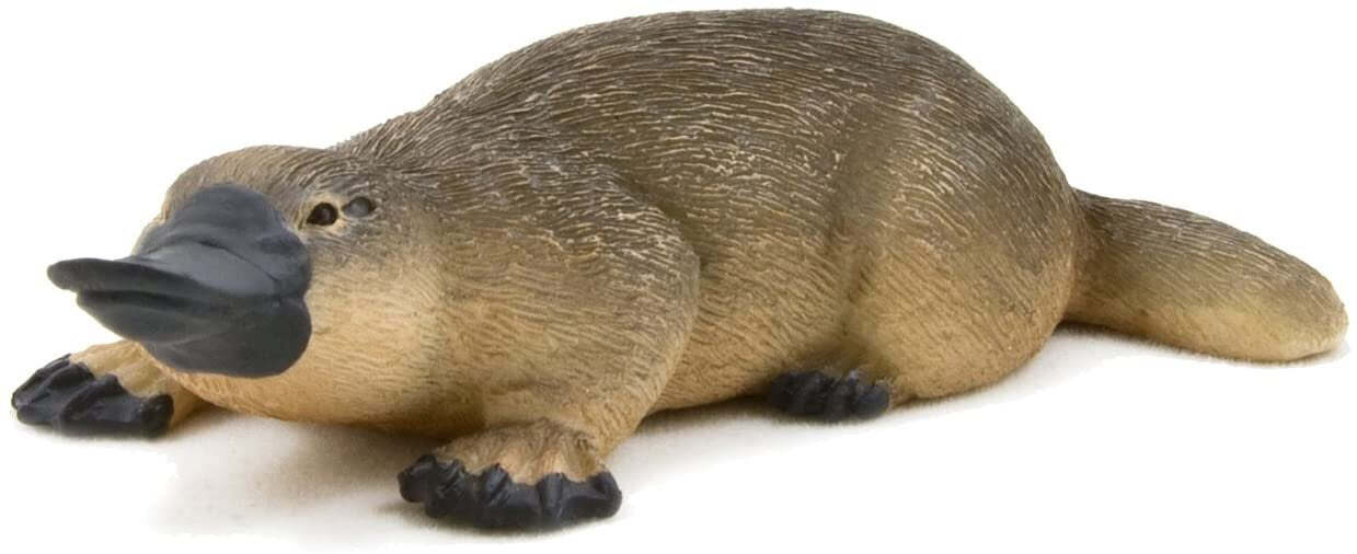 platypus です 3D Printed Articulated Platypus! - Etsy