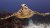 Little Cayman Turtle