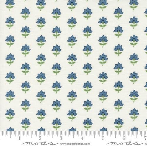 Shoreline Coastal Florals Cream 