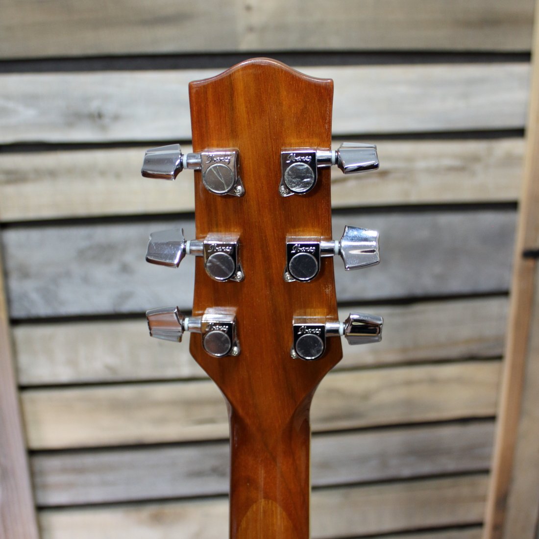 Used Ibanez EW20ZWE-NT Acoustic/Electric Guitar Exotic