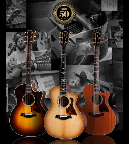 50th anniversary guitar collection