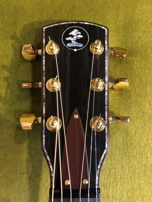 Danny Davis 471 Parlor Acoustic Guitar with Case