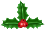 holly